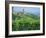 Vines in Vineyards Around Barbaresco, the Langhe, Piemonte (Piedmont), Italy, Europe-Sheila Terry-Framed Photographic Print