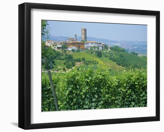 Vines in Vineyards Around Barbaresco, the Langhe, Piemonte (Piedmont), Italy, Europe-Sheila Terry-Framed Photographic Print