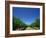 Vines, Maxwells Winery, Mclaren Vale, South Australia, Australia, Pacific-Neale Clarke-Framed Photographic Print