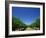 Vines, Maxwells Winery, Mclaren Vale, South Australia, Australia, Pacific-Neale Clarke-Framed Photographic Print