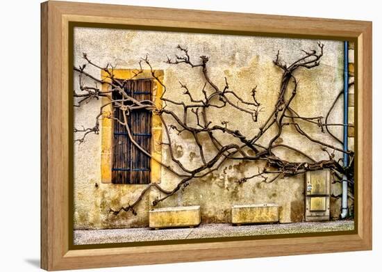 Vines Of Navarrenx-Colby Chester-Framed Premier Image Canvas