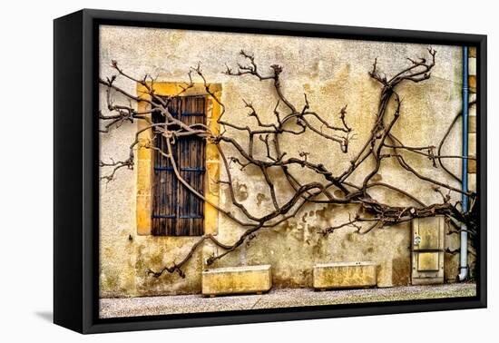 Vines Of Navarrenx-Colby Chester-Framed Premier Image Canvas