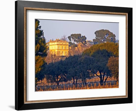 Vineyard and Building of Chateau La Nerthe, Chateauneuf-Du-Pape, Vaucluse, Rhone, Provence, France-Per Karlsson-Framed Photographic Print