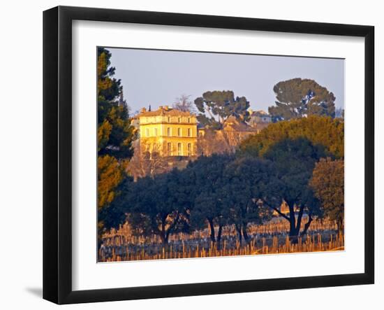 Vineyard and Building of Chateau La Nerthe, Chateauneuf-Du-Pape, Vaucluse, Rhone, Provence, France-Per Karlsson-Framed Photographic Print