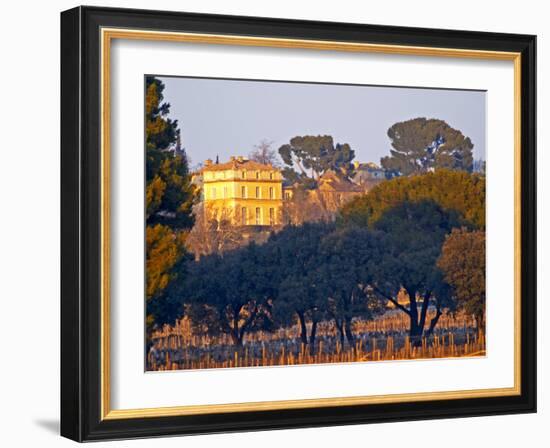 Vineyard and Building of Chateau La Nerthe, Chateauneuf-Du-Pape, Vaucluse, Rhone, Provence, France-Per Karlsson-Framed Photographic Print