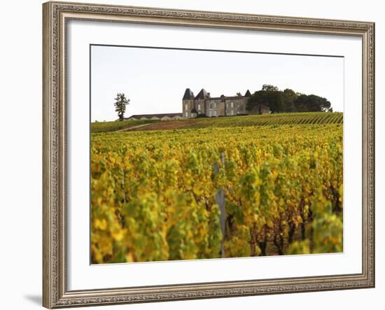 Vineyard and Medieval Chateau, Choteau d'Yquem, Sauternes, Bordeaux, Gironde, France-Per Karlsson-Framed Photographic Print