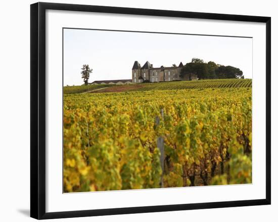 Vineyard and Medieval Chateau, Choteau d'Yquem, Sauternes, Bordeaux, Gironde, France-Per Karlsson-Framed Photographic Print