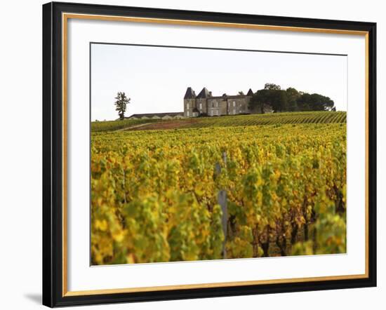 Vineyard and Medieval Chateau, Choteau d'Yquem, Sauternes, Bordeaux, Gironde, France-Per Karlsson-Framed Photographic Print