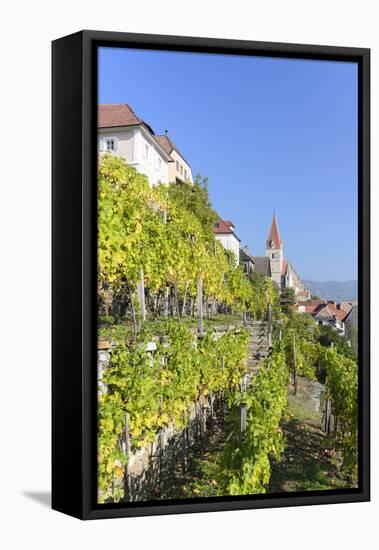 Vineyard and Military Church in Wei�nkirchen, Austria-Volker Preusser-Framed Premier Image Canvas