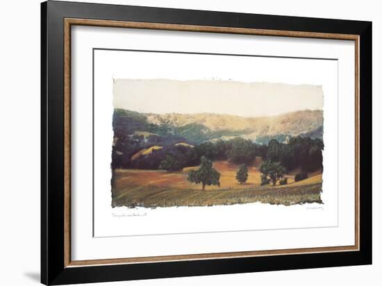 Vineyard and Oak II-Amy Melious-Framed Art Print