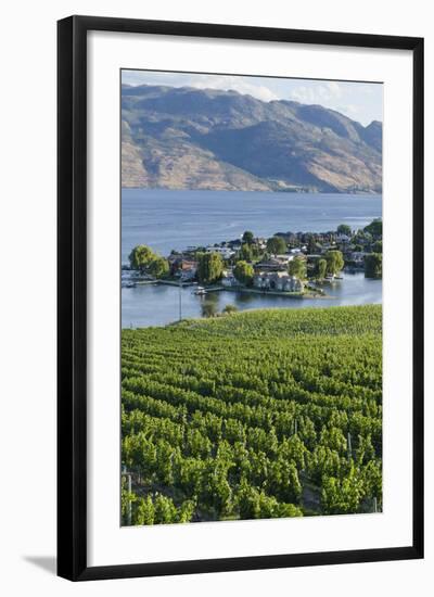 Vineyard and Okanagan Lake at Quails' Gate Winery, Kelowna, Bc, Canada-Michael DeFreitas-Framed Photographic Print