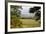 Vineyard and Olive Grove on Rolling Hillside, Tuscany, Italy-Terry Eggers-Framed Photographic Print