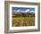 Vineyard and Pisa Range, Central Otago, South Island, New Zealand-David Wall-Framed Photographic Print