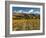 Vineyard and Pisa Range, Cromwell, Central Otago, South Island, New Zealand-David Wall-Framed Photographic Print