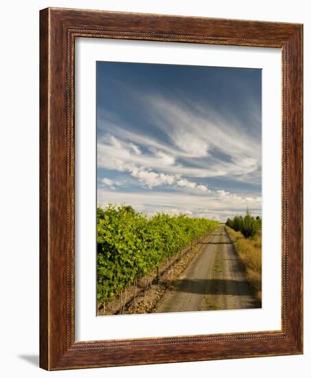 Vineyard and Road, Walla Walla, Washington, USA-Richard Duval-Framed Photographic Print