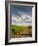 Vineyard and Road, Walla Walla, Washington, USA-Richard Duval-Framed Photographic Print