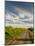 Vineyard and Road, Walla Walla, Washington, USA-Richard Duval-Mounted Photographic Print