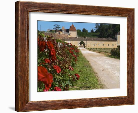 Vineyard and Roses, Chateau Grand Mayne, Saint Emilion, Bordeaux, France-Per Karlsson-Framed Photographic Print