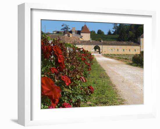 Vineyard and Roses, Chateau Grand Mayne, Saint Emilion, Bordeaux, France-Per Karlsson-Framed Photographic Print