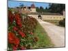 Vineyard and Roses, Chateau Grand Mayne, Saint Emilion, Bordeaux, France-Per Karlsson-Mounted Photographic Print