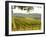 Vineyard and Valley with Forest, Chateau Carignan, Premieres Cotes De Bordeaux, France-Per Karlsson-Framed Photographic Print