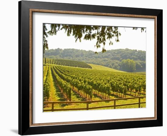 Vineyard and Valley with Forest, Chateau Carignan, Premieres Cotes De Bordeaux, France-Per Karlsson-Framed Photographic Print