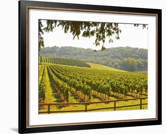 Vineyard and Valley with Forest, Chateau Carignan, Premieres Cotes De Bordeaux, France-Per Karlsson-Framed Photographic Print