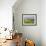 Vineyard and Village, Volpaia, Tuscany, Italy-Peter Adams-Framed Photographic Print displayed on a wall