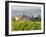 Vineyard and Village, Volpaia, Tuscany, Italy-Peter Adams-Framed Photographic Print