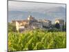 Vineyard and Village, Volpaia, Tuscany, Italy-Peter Adams-Mounted Photographic Print