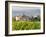 Vineyard and Village, Volpaia, Tuscany, Italy-Peter Adams-Framed Photographic Print