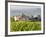 Vineyard and Village, Volpaia, Tuscany, Italy-Peter Adams-Framed Photographic Print