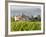 Vineyard and Village, Volpaia, Tuscany, Italy-Peter Adams-Framed Photographic Print