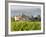 Vineyard and Village, Volpaia, Tuscany, Italy-Peter Adams-Framed Photographic Print