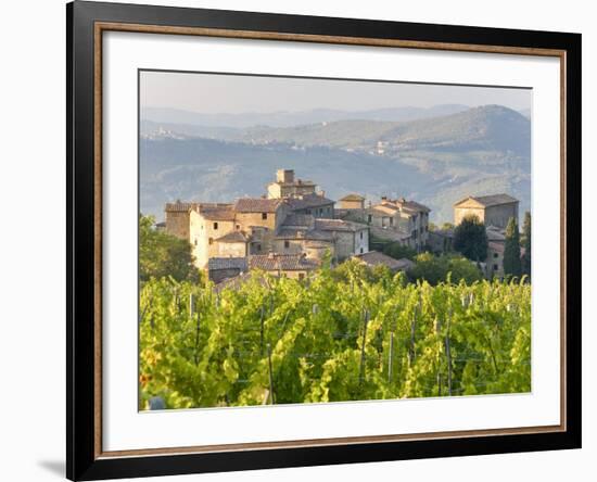 Vineyard and Village, Volpaia, Tuscany, Italy-Peter Adams-Framed Photographic Print