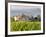 Vineyard and Village, Volpaia, Tuscany, Italy-Peter Adams-Framed Photographic Print