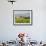 Vineyard and Village, Volpaia, Tuscany, Italy-Peter Adams-Framed Photographic Print displayed on a wall