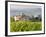 Vineyard and Village, Volpaia, Tuscany, Italy-Peter Adams-Framed Photographic Print