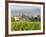 Vineyard and Village, Volpaia, Tuscany, Italy-Peter Adams-Framed Photographic Print