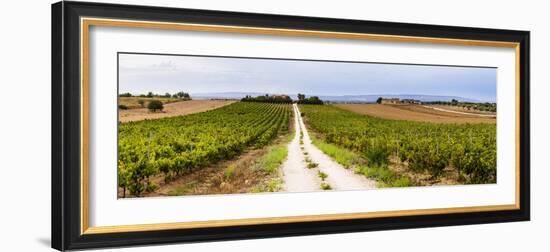 Vineyard at a Winery Near Noto, South East Sicily, Italy, Europe-Matthew Williams-Ellis-Framed Photographic Print