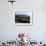 Vineyard at Franschoek, Western Cape, South Africa-John Warburton-lee-Framed Photographic Print displayed on a wall