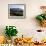 Vineyard at Franschoek, Western Cape, South Africa-John Warburton-lee-Framed Photographic Print displayed on a wall