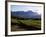 Vineyard at Franschoek, Western Cape, South Africa-John Warburton-lee-Framed Photographic Print