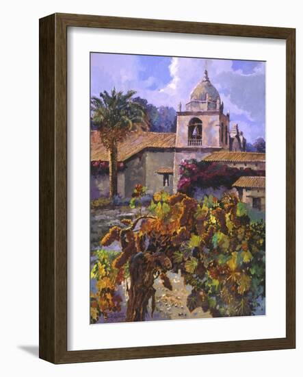 Vineyard at San Miguel-Clif Hadfield-Framed Art Print