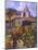 Vineyard at San Miguel-Clif Hadfield-Mounted Art Print