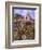 Vineyard at San Miguel-Clif Hadfield-Framed Art Print