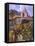 Vineyard at San Miguel-Clif Hadfield-Framed Stretched Canvas