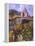 Vineyard at San Miguel-Clif Hadfield-Framed Stretched Canvas