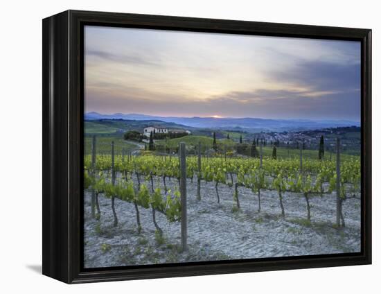 Vineyard at Sunset Above the Village of Torrenieri, Near San Quirico D'Orcia, Tuscany-Lee Frost-Framed Premier Image Canvas