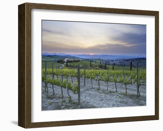 Vineyard at Sunset Above the Village of Torrenieri, Near San Quirico D'Orcia, Tuscany-Lee Frost-Framed Photographic Print